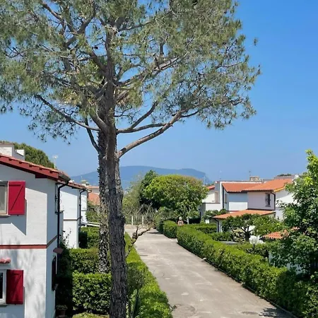 Beautiful With Garden In Front Of The Sea *